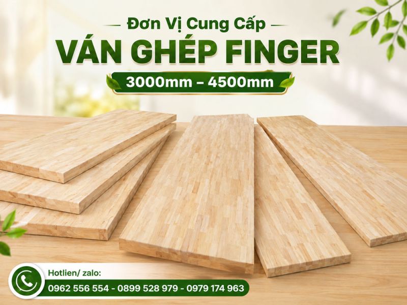 Đơn Vị Cung Cấp Ván Ghép Finger 3000mm – 4500mm
