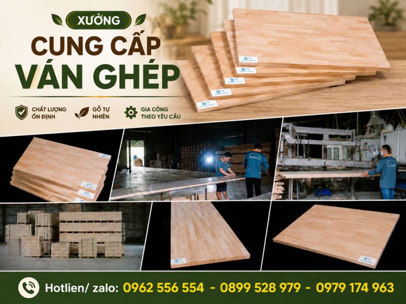 Xưởng Cung Cấp Ván Ghép Chất Lượng Cao – Giá Tốt Tận Xưởng